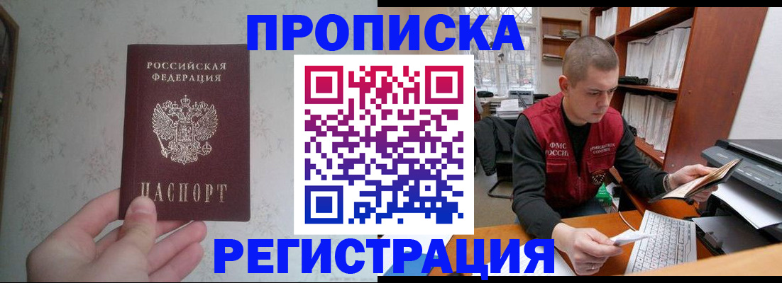 прописка в Чудово